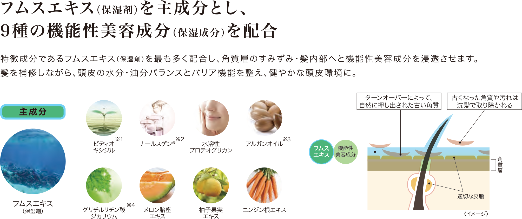 9種の機能性美容成分